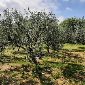  Hébergement de vacances La Casetta Di Bianca Italie